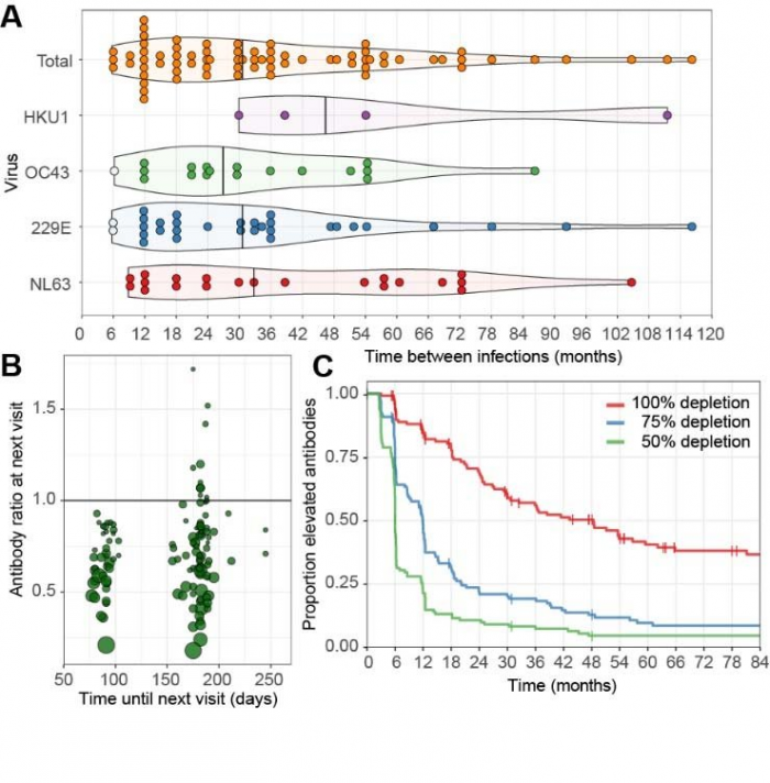 nfection-and-reinfection-characteristics-and-waning-immunity-for-seasonal-coronaviruses.png