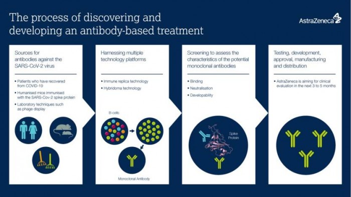 coronavirus-astrazeneca-monoclonal-antibody-infographic.jpg