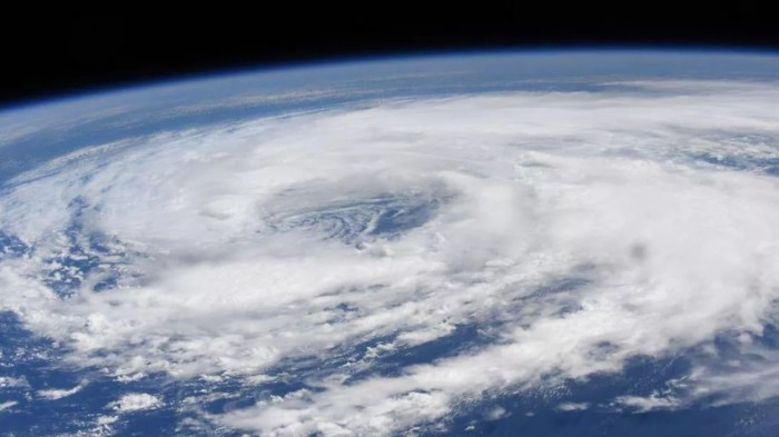 Screenshot_2020-06-11 cristobalcassidy jpg（WEBP 图像，1092x613 像素） - 缩放 (97%).jpg