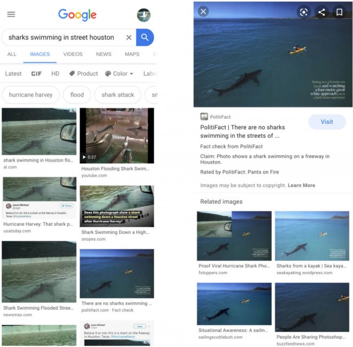 google-images-fact-check-label.jpg