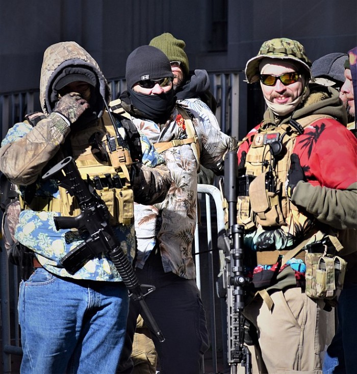 733px-Virginia_2nd_Amendment_Rally_(2020_Jan)_-_49416109936_(cropped).jpg