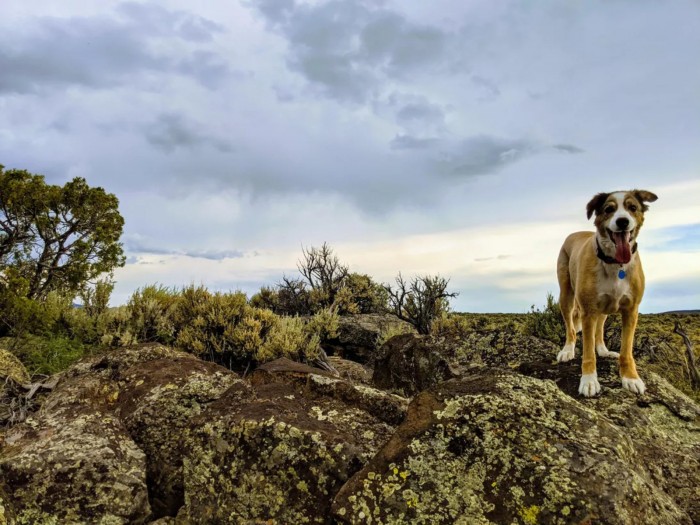 Screenshot_2020-07-03 img-20200613-191051 jpg（WEBP 图像，1092x819 像素） - 缩放 (73%).jpg