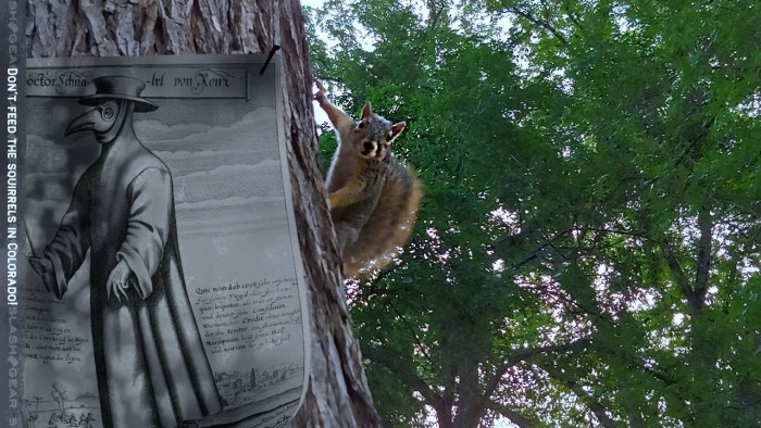plaguesquirrel-1280x720.jpg