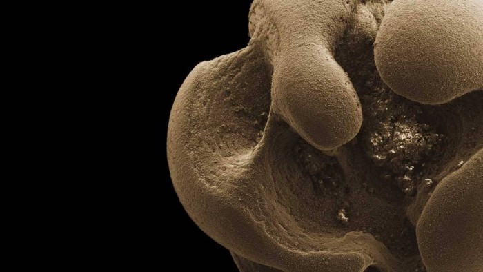 metal-bacteria-1280x720 (1).jpg