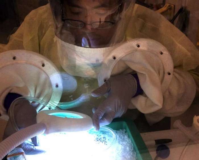 Screenshot_2020-07-18 kstatemosquito jpg（WEBP 图像，1092x876 像素） - 缩放 (68%).jpg