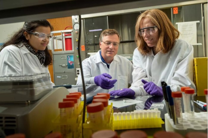 Screenshot_2020-07-21 （WEBP 图像，2400x1600 像素） - 缩放 (39%).jpg