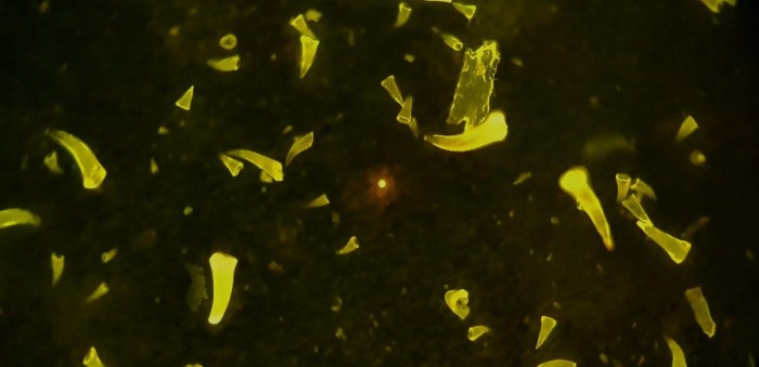 Screenshot_2020-07-22 （WEBP 图像，2878x1396 像素） - 缩放 (44%).jpg