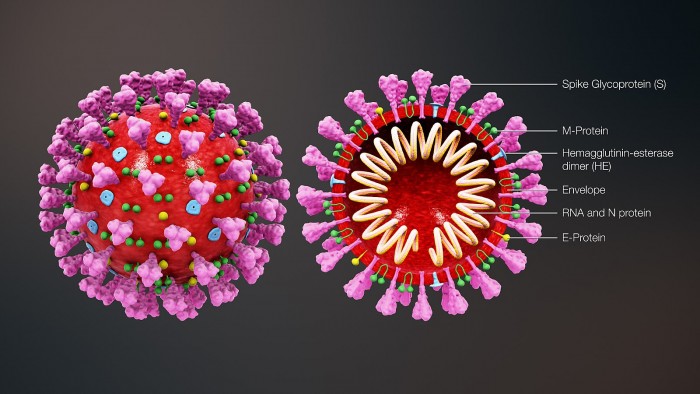 coronavirus_3D_structure.jpg