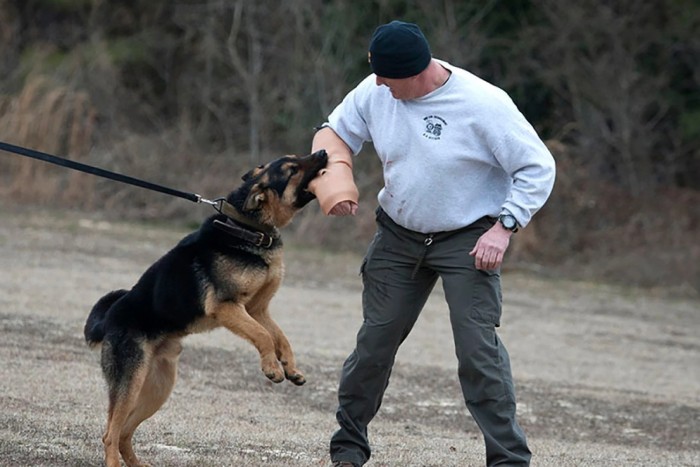 Screenshot_2020-07-31 （WEBP 图像，2400x1600 像素） - 缩放 (39%).jpg