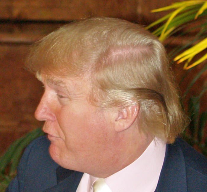 Donald_Trump_hairdo_2008.jpg