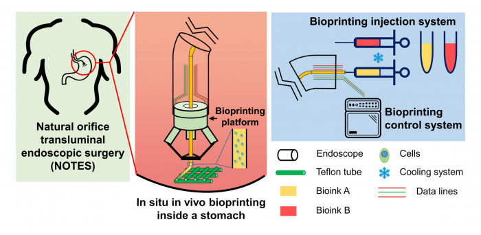 Screenshot_2020-08-14 （WEBP 图像，2880x1408 像素） - 缩放 (44%).png
