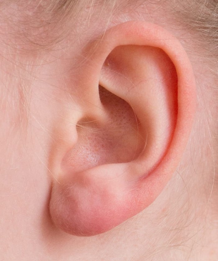 left-human-ear.jpg