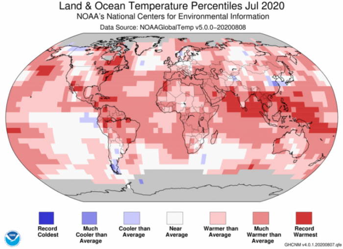 noaa_globe_202007-800x618.png