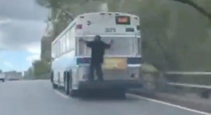 Man hangs from MTA bus.png