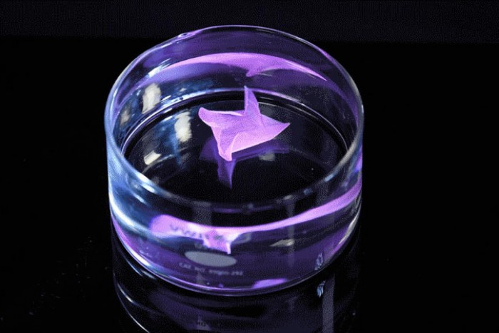 Screenshot_2020-09-04 （WEBP 图像，2400x1600 像素） - 缩放 (39%).jpg