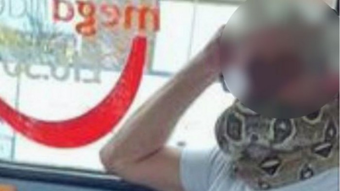 _114394474_bussnake.jpg