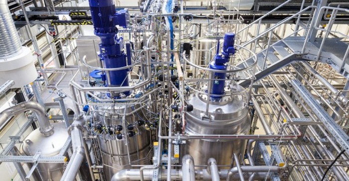 GlobalBioenergies2.jpg
