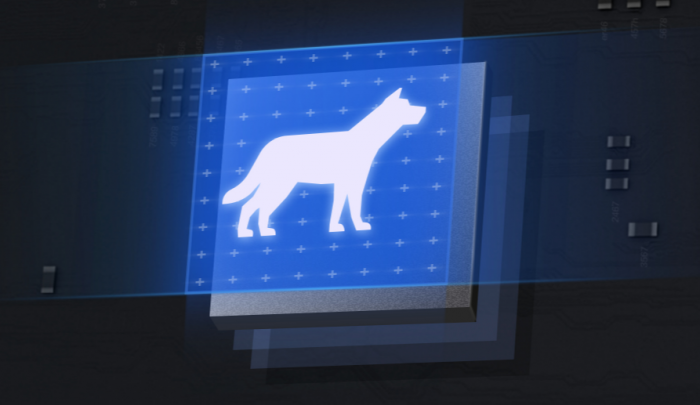 05.png