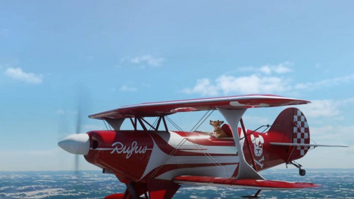 dogplane-1280x720.jpg