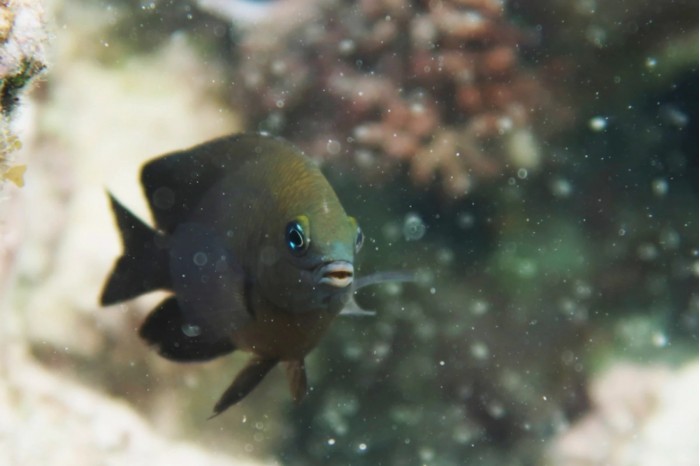 Screenshot_2020-12-09 （WEBP 图像，2400x1600 像素） - 缩放 (39%).jpg