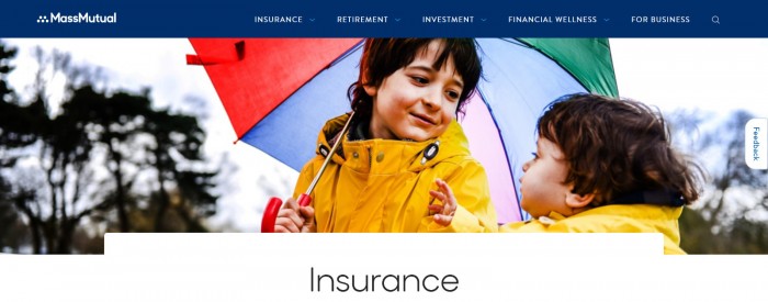 Screenshot_2020-12-11 Types of Insurance Products Policies - MassMutual.jpg
