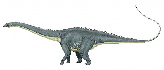 1600px-Diplodocus_longus(2).jpg