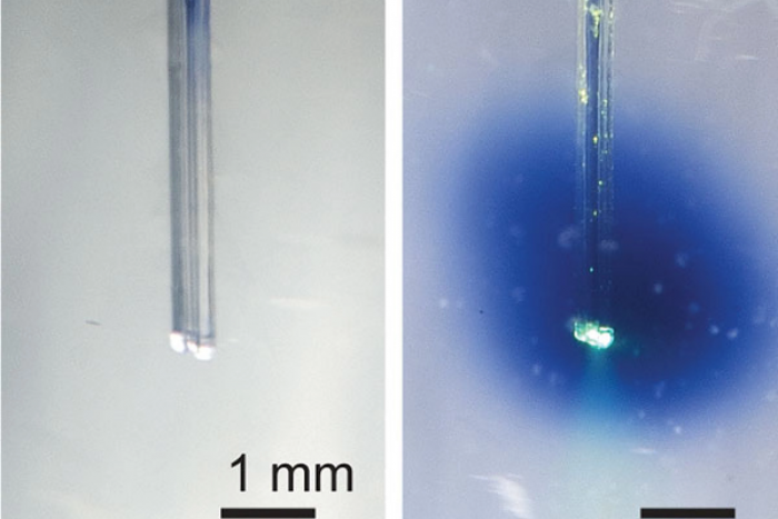 Screenshot_2020-12-31 （WEBP 图像，2400x1600 像素） - 缩放 (39%).png