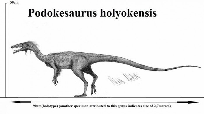 podokesaurus_holyokensis_by_teratophoneus_dby39gs-fullview.jpg