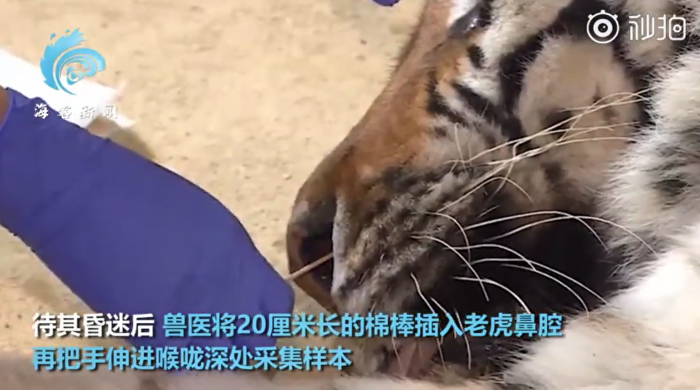 QQ图片20210226133601.png