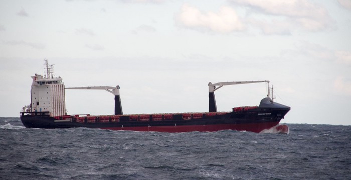 Container_ship_Reecon_Whale_on_Black_Sea_near_Constanța_Romania.jpg