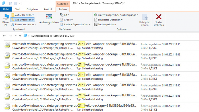 Windows-10-21H1-1614582970-0-0.png