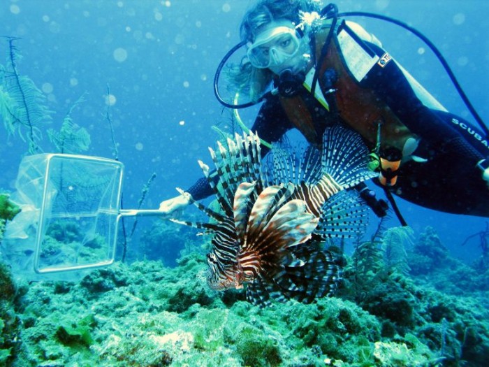 Stephanie-Green-Captures-Lionfish-777x583.jpg