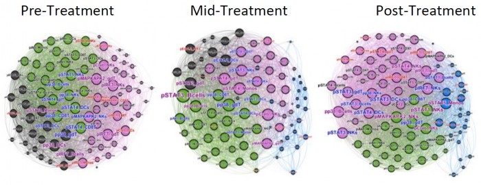 Network-Topology-Analysis-of-Immune-System-Function.jpg