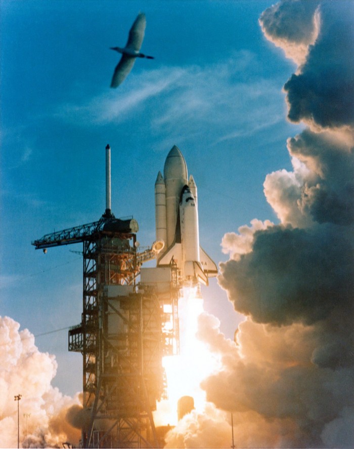 Space-Shuttle-Columbia-Launch-1617x2048.jpg