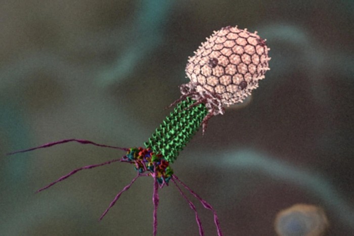 Bacteriophage-Reconstructed-Microscopy-Image.jpg