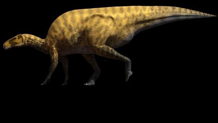 portellsaurus-sosbaynati-1280x720.jpg