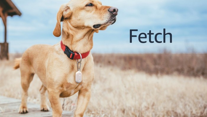 amazon-ring-fetch.jpeg