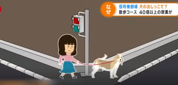 QQ图片20210716135630.png