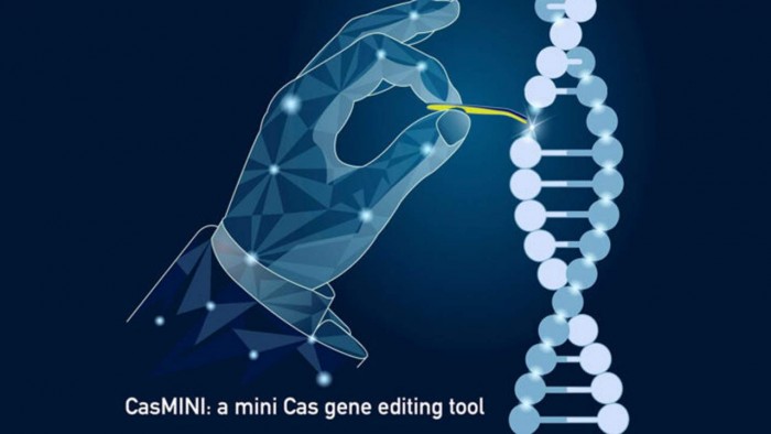 mini-crispr-1280x720.jpg