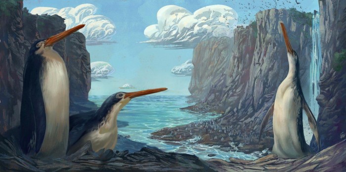 Kawhia-Giant-Penguin-Kairuku-Waewaeroa.jpg