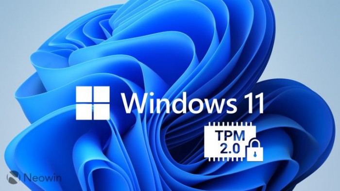 w7u2djwp.jpg