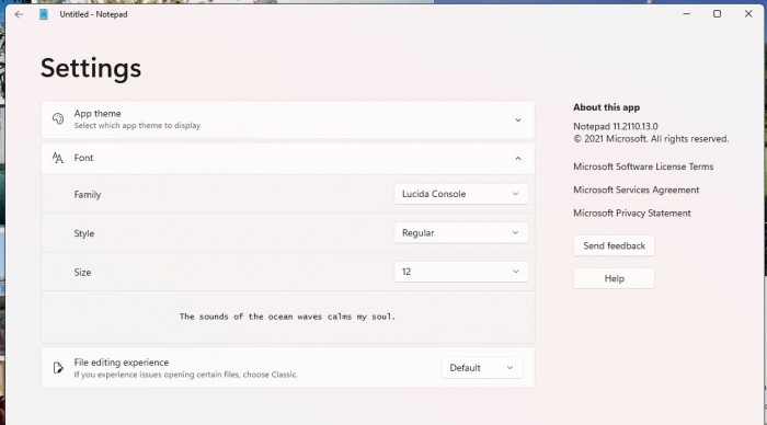 windows-11-notepad-settings.jpg