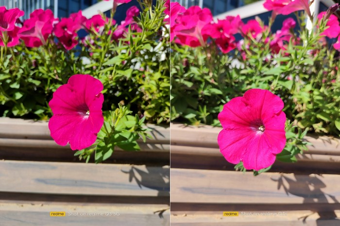 【花卉】IMG20211125120105.jpg