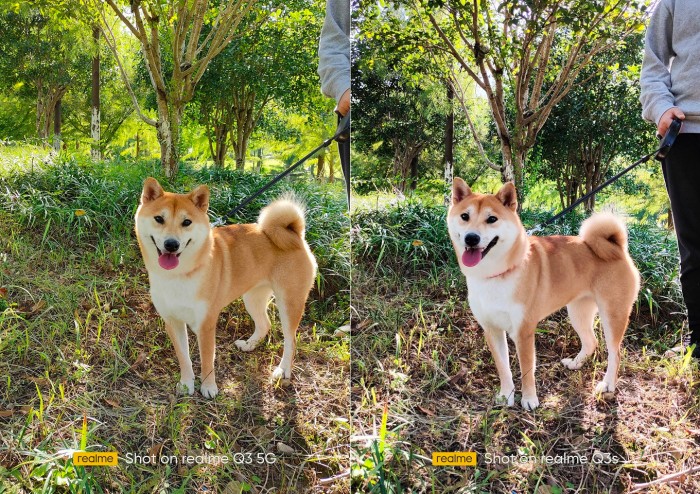 【柴犬】IMG20211114140914.jpg