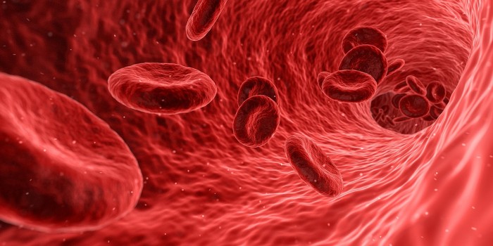 1600px-Red_Blood_Cell.jpg