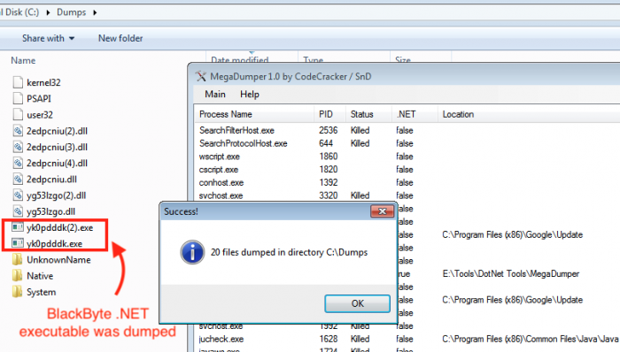 6 decrypted .NET assemblies.png