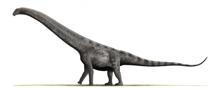 Argentinosaurus_BW.jpg