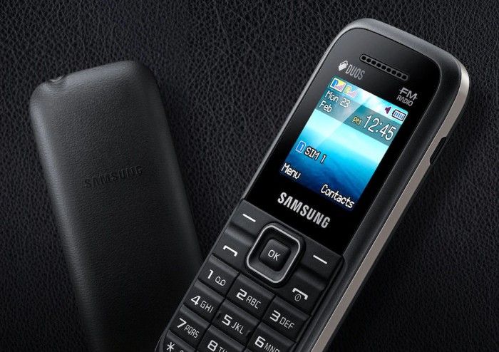 Samsung-Guru-FM-Plus.jpg