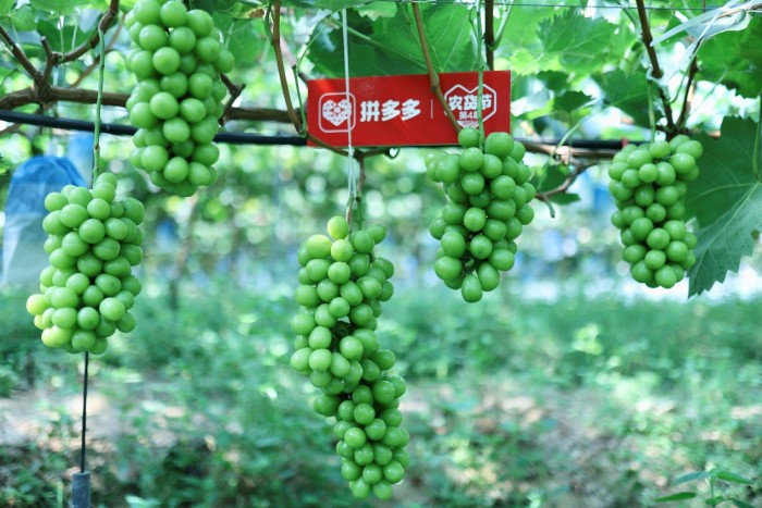 image001.jpg