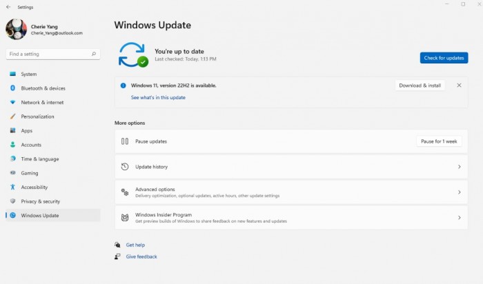 Windows-11-22H2-install[1].jpg